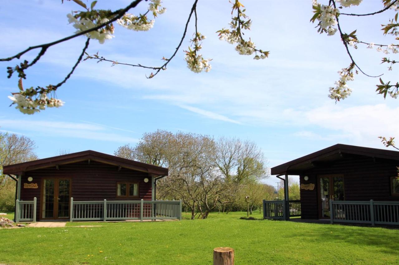 Wall Eden Farm - Luxury Log Cabins And Glamping Highbridge Exterior foto